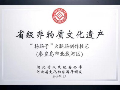 省级非物质文化遗产